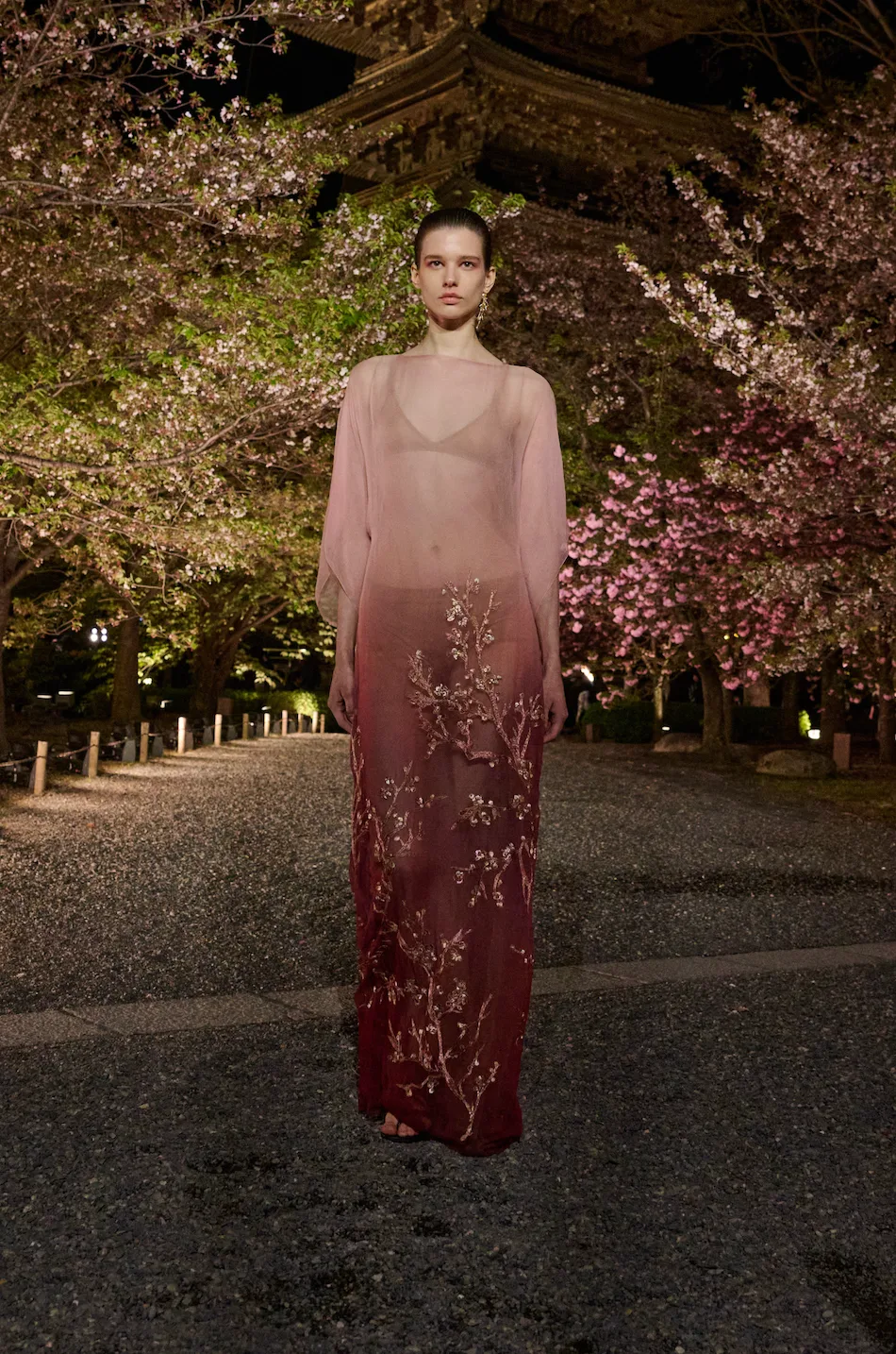 Dior Fall 2025 Collection by Maria Grazia Chiuri